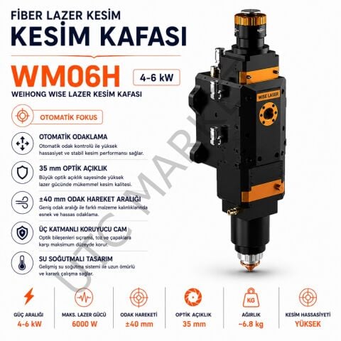 Weihong Wise Lazer Kesim Kafası WM06H 4-6 kW